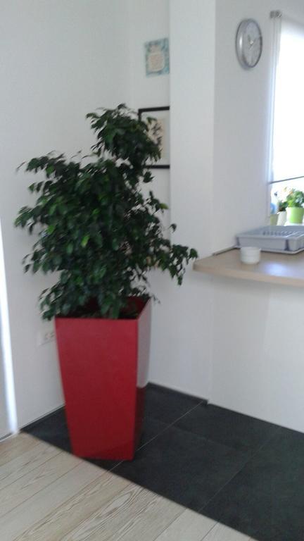 Apartament Penthouse *